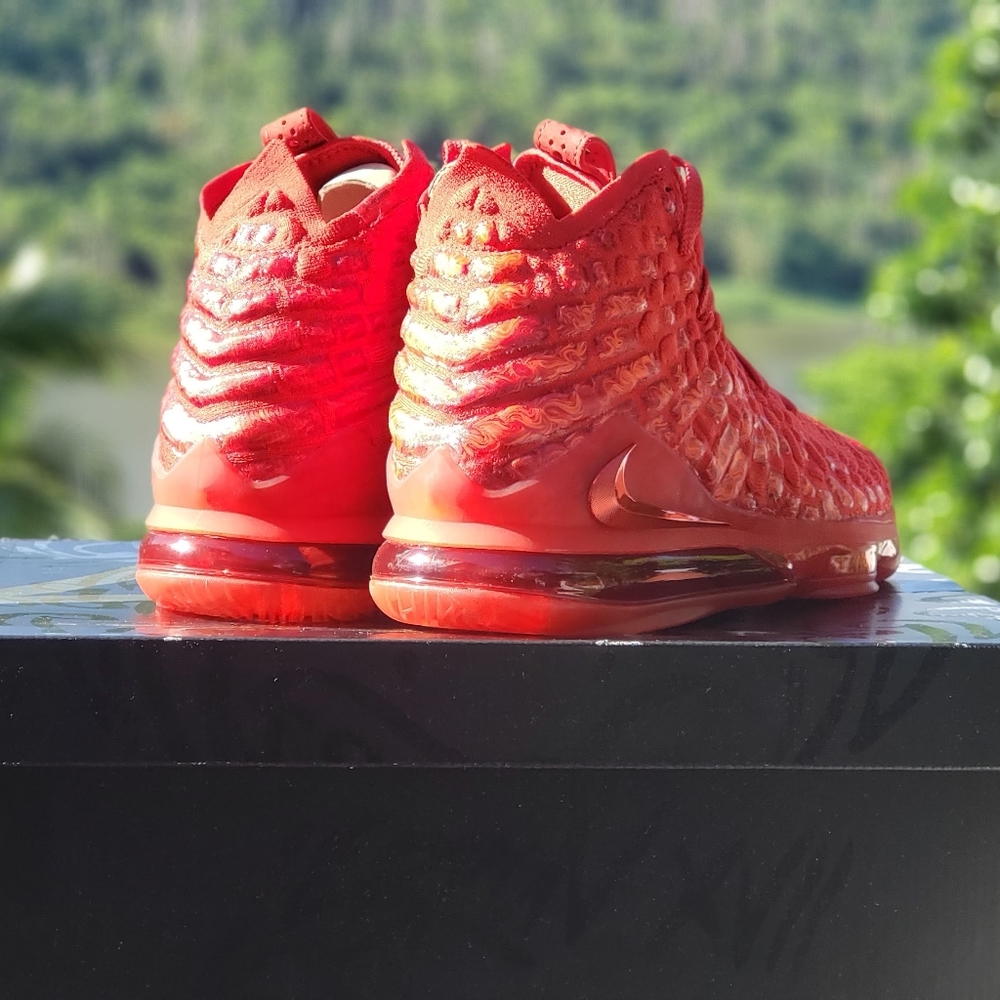 LeBRON 17 RED CARPET 2019